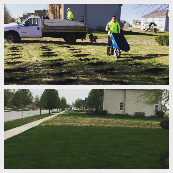 Home And Garden Top Dressing Spreading Compost