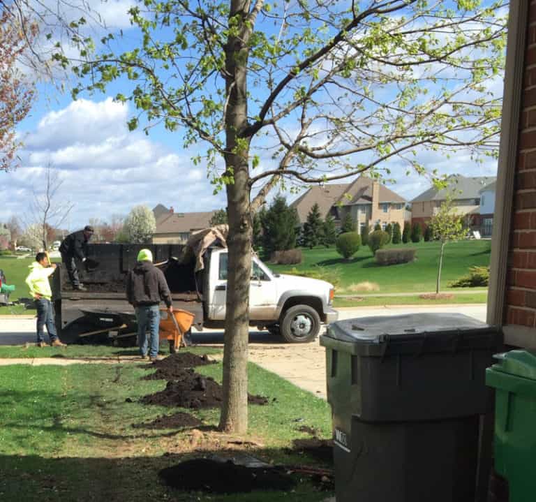 Home And Garden Top Dressing Spreading Compost