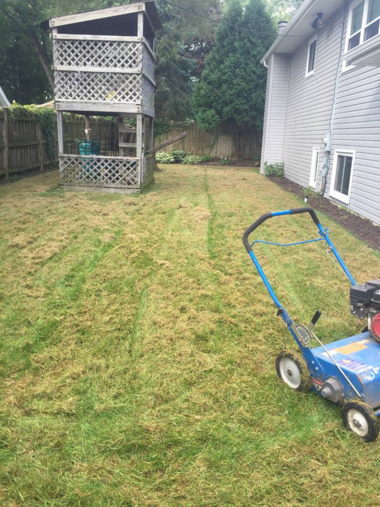 lawn dethatching