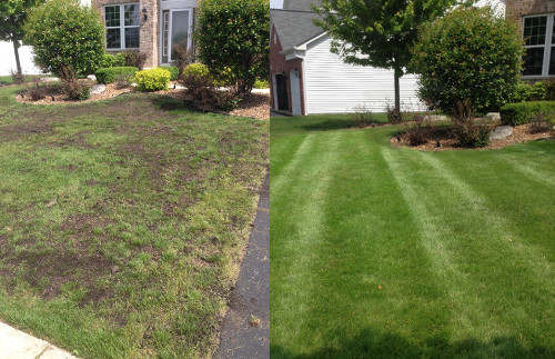 Lawn renovation services