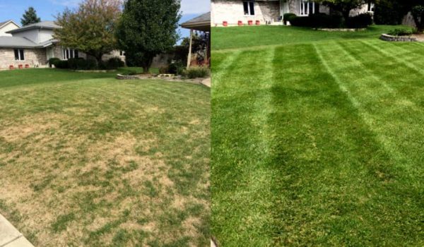 Residential and Commercial Landscaping and Lawn Care Services