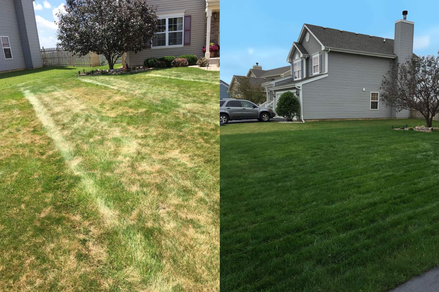 lawn-renovation-overseeding