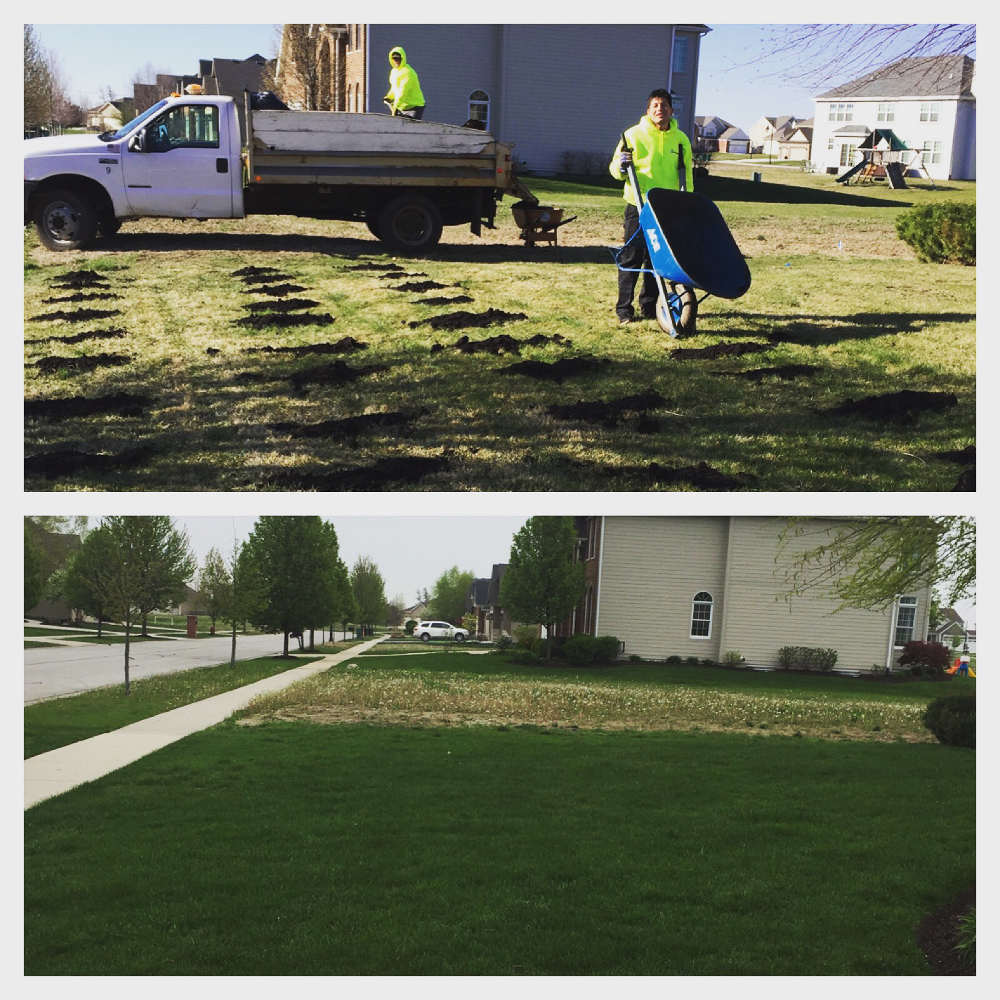 Home and Garden | Top Dressing | Spreading Compost