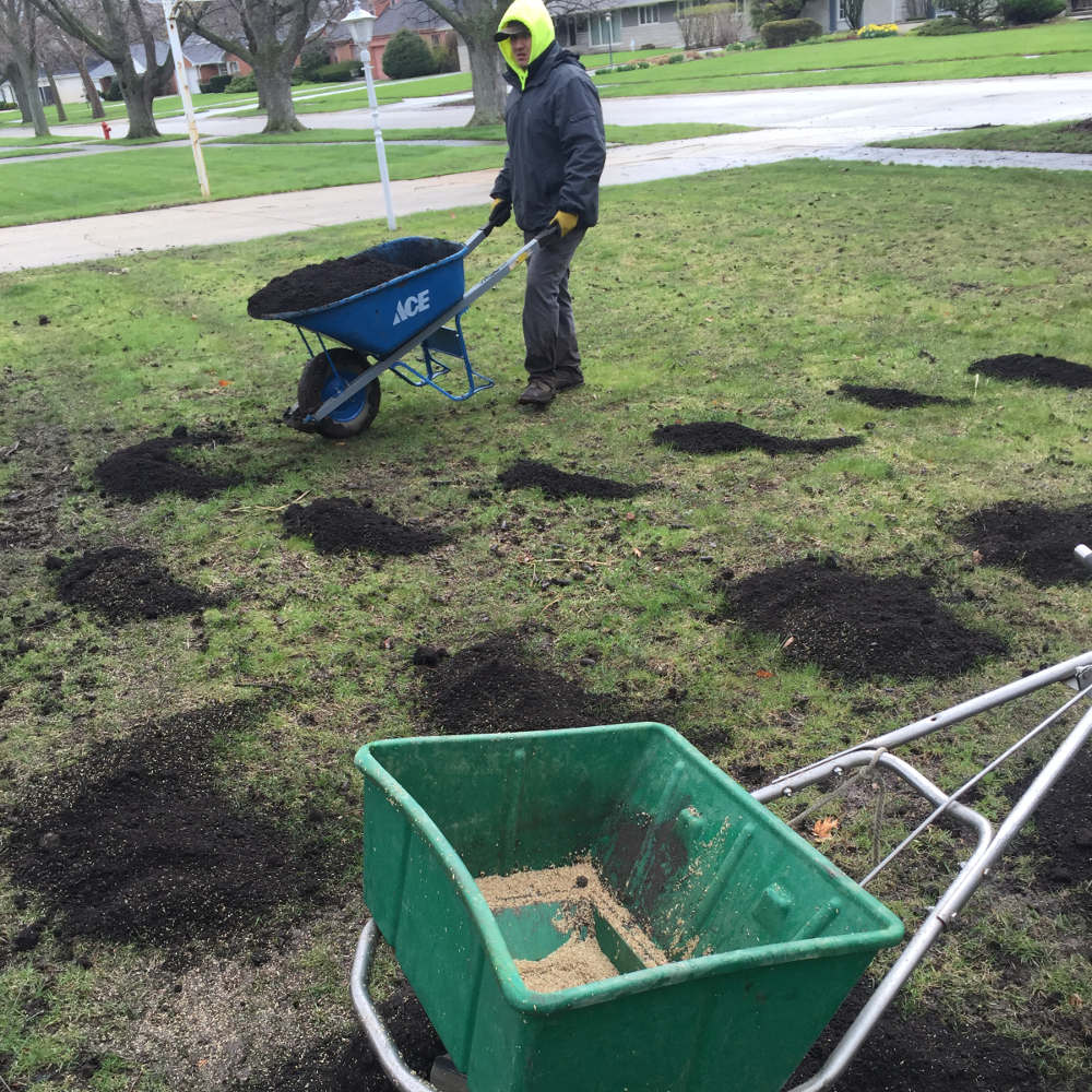 Home and Garden | Top Dressing | Spreading Compost