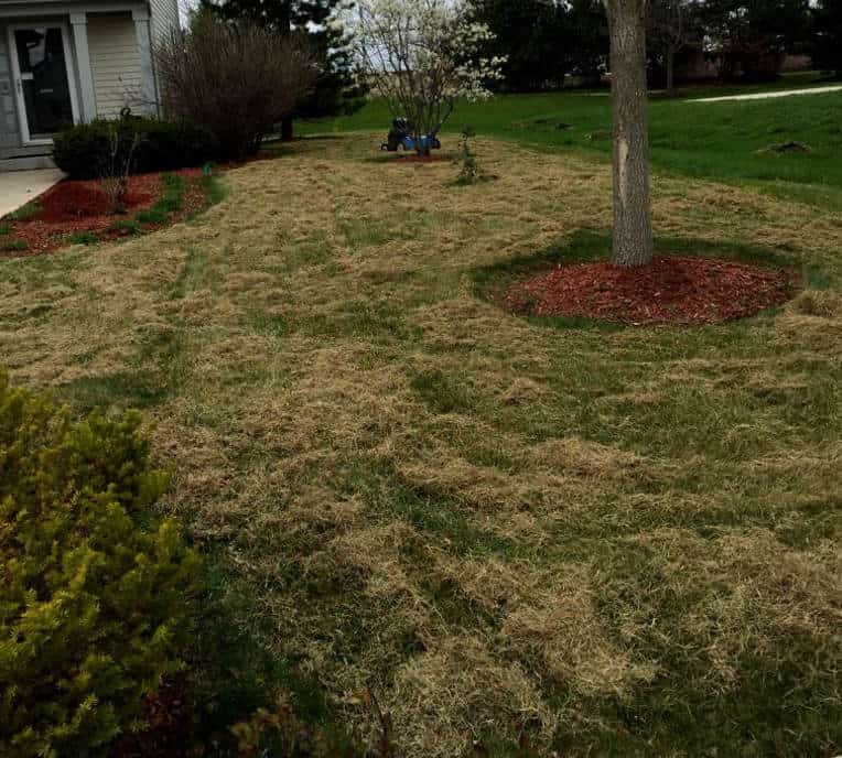 Home and Garden | Lawn Dethatching Services | Power Raking Services
