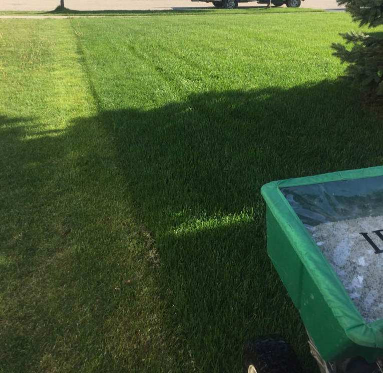 one lawn fertilized, the other one is not