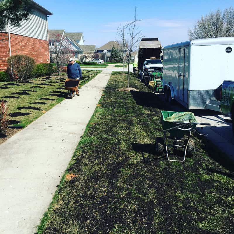 Topdressing hotsell with compost