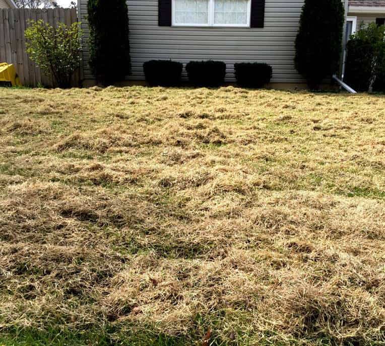 Home And Garden Lawn Dethatching Services Power Raking Services