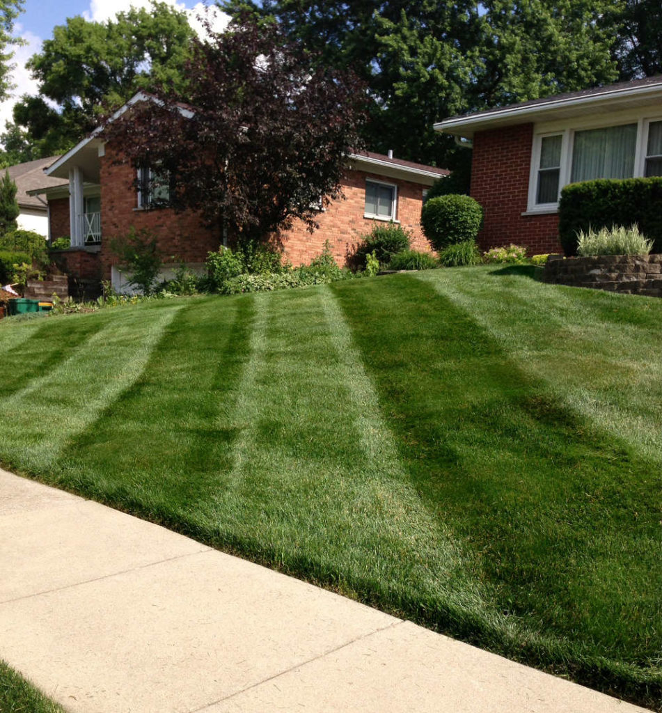 Lemont lawn mowing