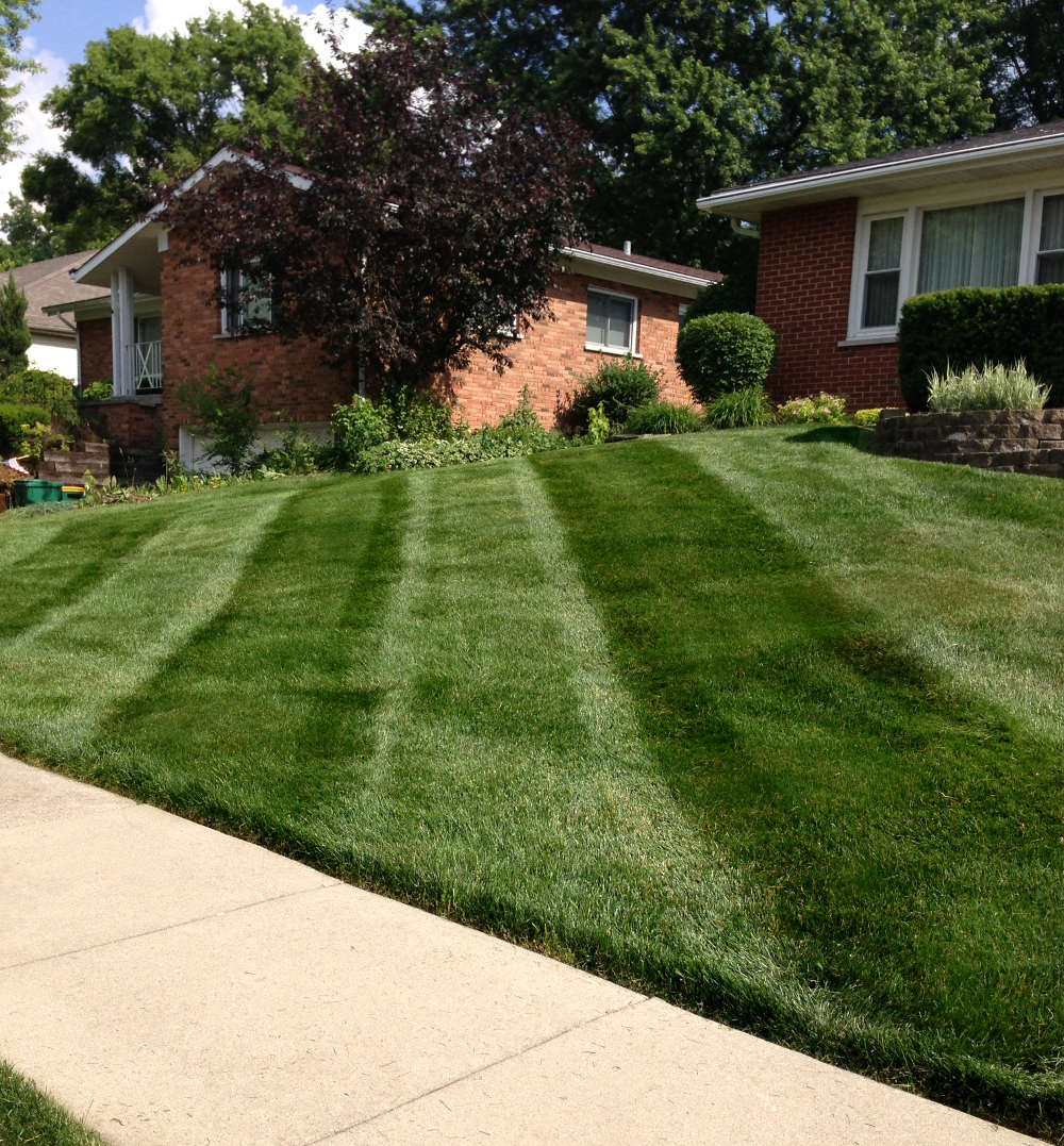 lawn care meaning