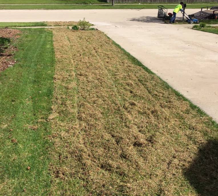 After on sale dethatching lawn