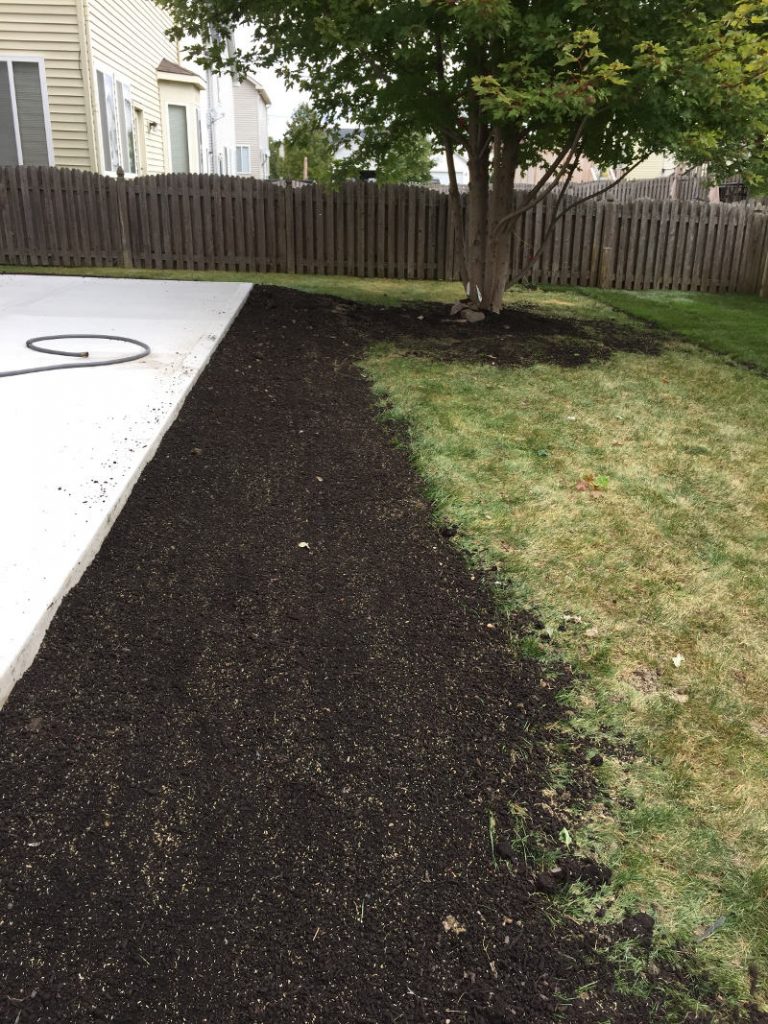 before lawn renovation