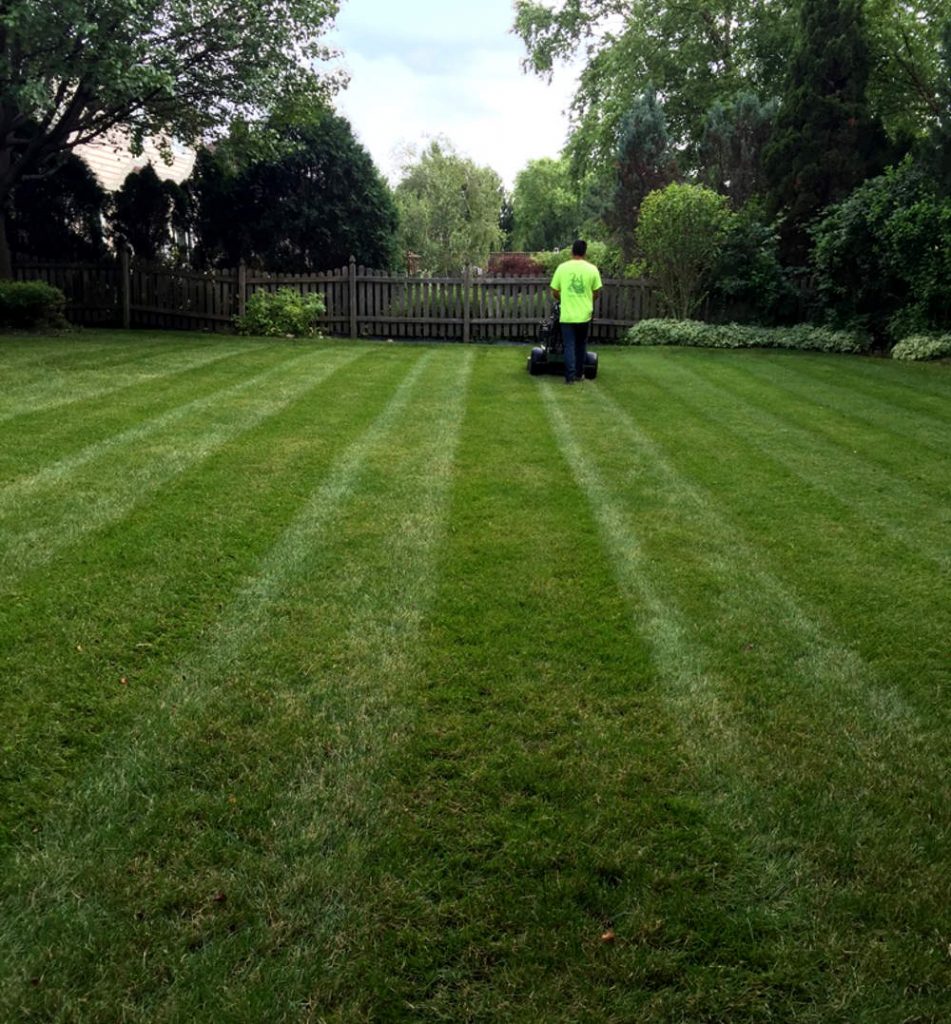 Mowing the lawn