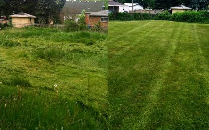 Mowing before and after